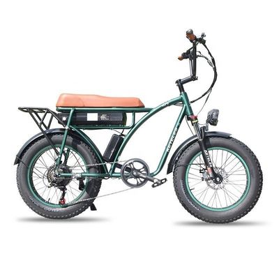 23AH Capacity pin 1000W 2000W Motor 20 inch Fat Bike Điện đạp hỗ trợ tùy chỉnh