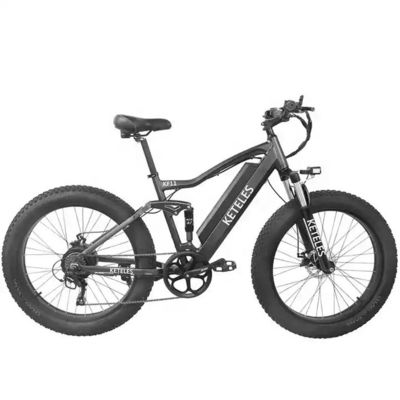 48V 250W Motor Electric Mountain Bike với pin lithium 10AH và pin tích hợp