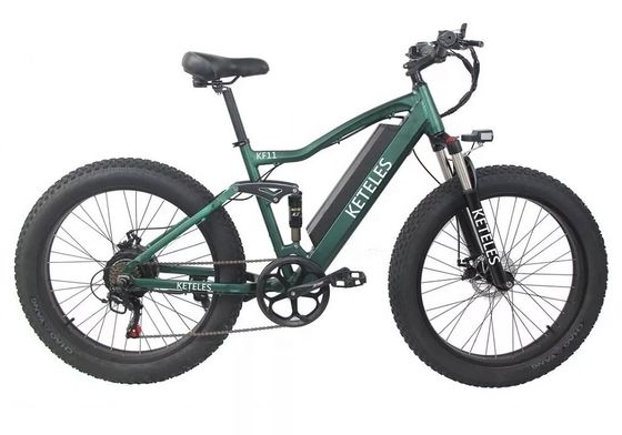 48V 250W Motor Electric Mountain Bike với pin lithium 10AH và pin tích hợp