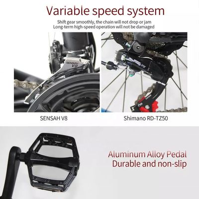 48V 250W Motor Electric Mountain Bike với pin lithium 10AH và pin tích hợp