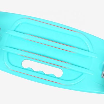 Bảng phẳng cầm tay nhỏ cá bảng in trượt băng Bốn bánh đèn flash di động xe tay ga cho bé trai và bé gái