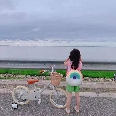 Vòng kim loại INS phong cách 16 inch Retro xe đạp trẻ em tốc độ đơn cho trẻ em từ 4-8 tuổi