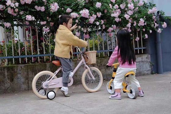 Vòng kim loại INS phong cách 16 inch Retro xe đạp trẻ em tốc độ đơn cho trẻ em từ 4-8 tuổi