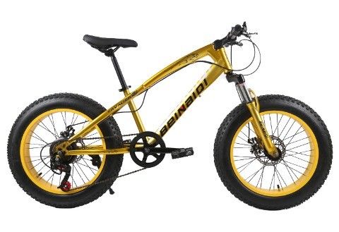 20 Inch Children's Beach Snow Bike 4.0 Fat Tire Mountain Bike với tốc độ 7/21/24/27