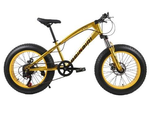 20 Inch Children's Beach Snow Bike 4.0 Fat Tire Mountain Bike với tốc độ 7/21/24/27